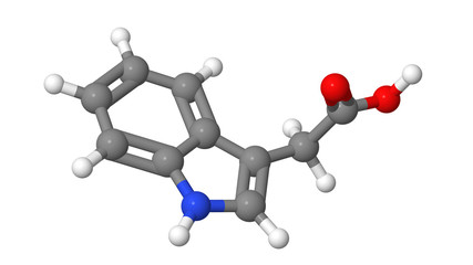 Plant hormone - Auxins - IAA - molecular model