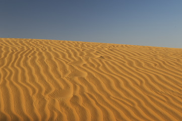 Abu Dhabi desert