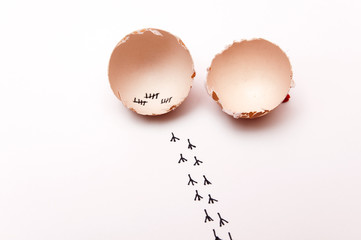 broken egg