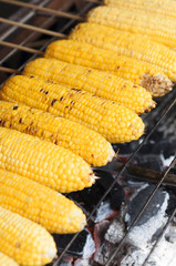 grilled corn