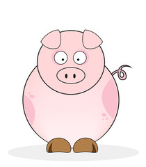 Funny Pink pig isolated on white.