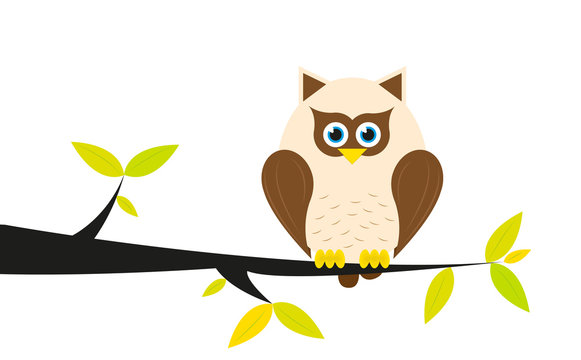 Owl in a tree on white background.