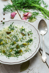Close-up on a bowl of soup with pickled cucumbers