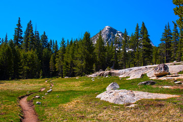 Pacific Crest Trail along Lyell fork of Tuolumne river, Yosemite