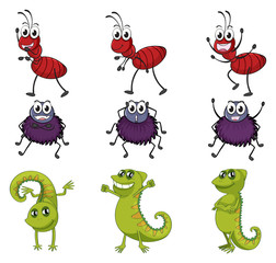 Obraz premium A spider, a chameleon and an ant