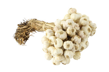 Group of dry garlic with pole focus at head on white background.