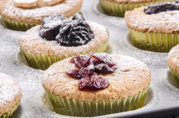 hausgemachte cupcake mit getrockneten Früchten und Puderzucker