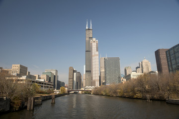 Naklejka premium Chicago skyline