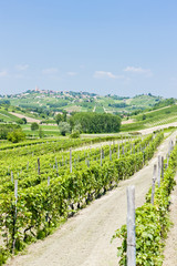Fototapeta na wymiar Regionu vineyars w Asti, Piemont, Włochy