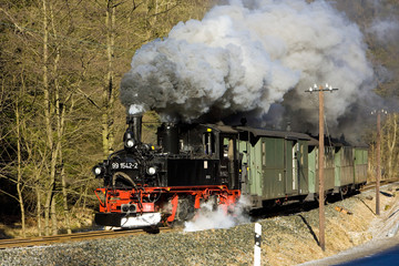 Fototapeta na wymiar steam train, Steinbach - Jöhstadt, Germany
