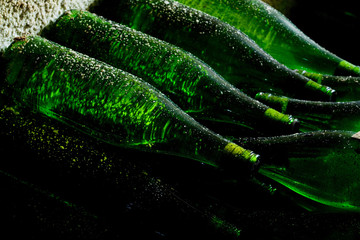 wine archive, Czech Republic