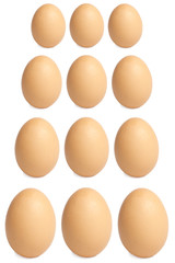 Eggs Group
