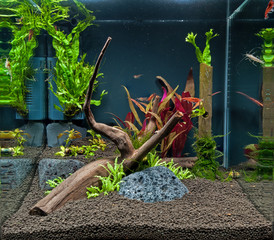Aquarium