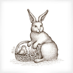 Easter vintage card. Illustration of bunny