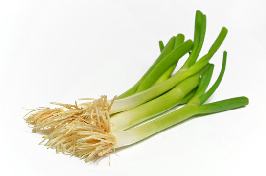 Fr&uuml;hlingszwiebel