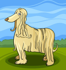 cartoon afghan hound dog