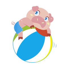 a pig's beach activities