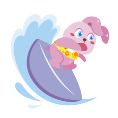 a rabbit's beach activities