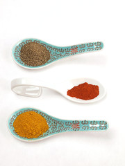 Spices on Asian spoon