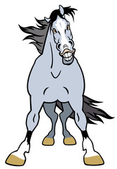cartoon grey horse