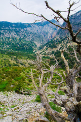 Gole Gorropu , Sardegna