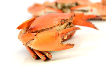 Boiled crabs prepared