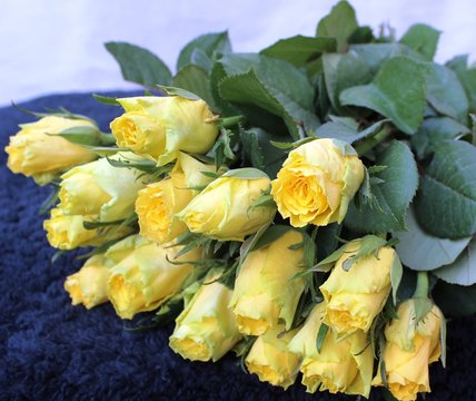 rose