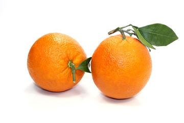 oranges