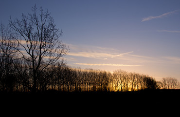Naklejka premium Sunrise on New Year's Day, 2013