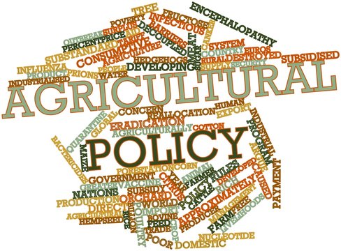 Word Cloud For Agricultural Policy