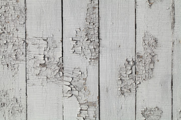 Old gray boards