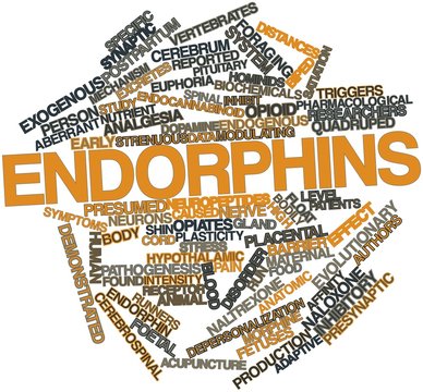 Word Cloud For Endorphins