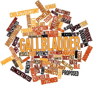 Word cloud for Gallbladder