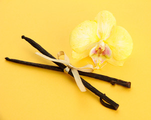 Vanilla pods with flower, on yellow background