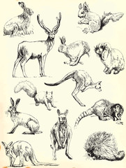 animals collection (black outlines)