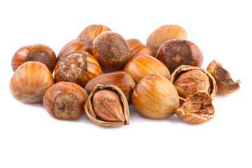 nuts filberts isolated on white background