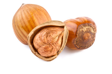 nuts filberts isolated on white background