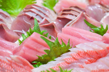 刺身　盛り合わせ
