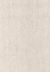 Fototapeta premium Canvas texture