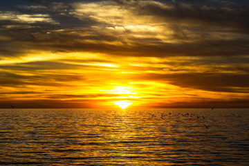Naklejka na ściany i meble Dramatyczny złoty zachód słońca nad oceanem z pływających mew