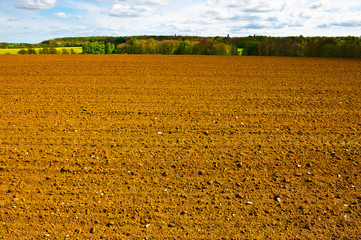 Spring  Field