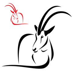 Silhouette goral on white background, vector