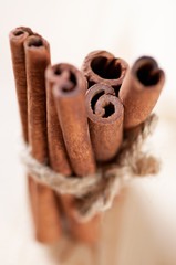 Obraz na płótnie Canvas Bundle of cinnamon sticks, shallow depth of field