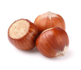 Dried filbert in closeup