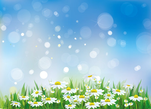 Vector of spring background