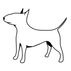 beautiful thoroughbred dog