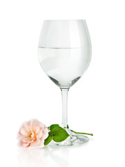 Wine glass with water and pink rose flower