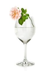 Wine glass with water and pink rose flower