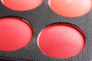 Blushes close-up