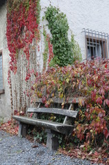 Bank im Herbst